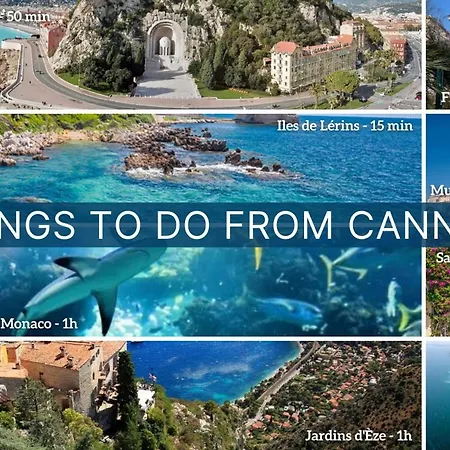 Apartment General Ferrie 3 Pcs Ar Croisette Martinez By Olam *